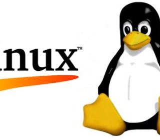 Linux Kernel 5