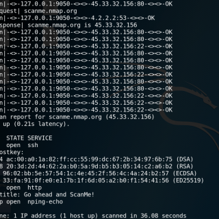 Kali Linux Tor Proxychains