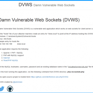 Damn Vulnerable Web Sockets