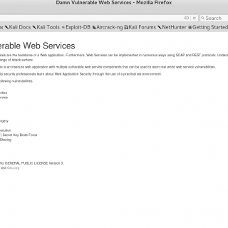 Damn Vulnerable Web Services