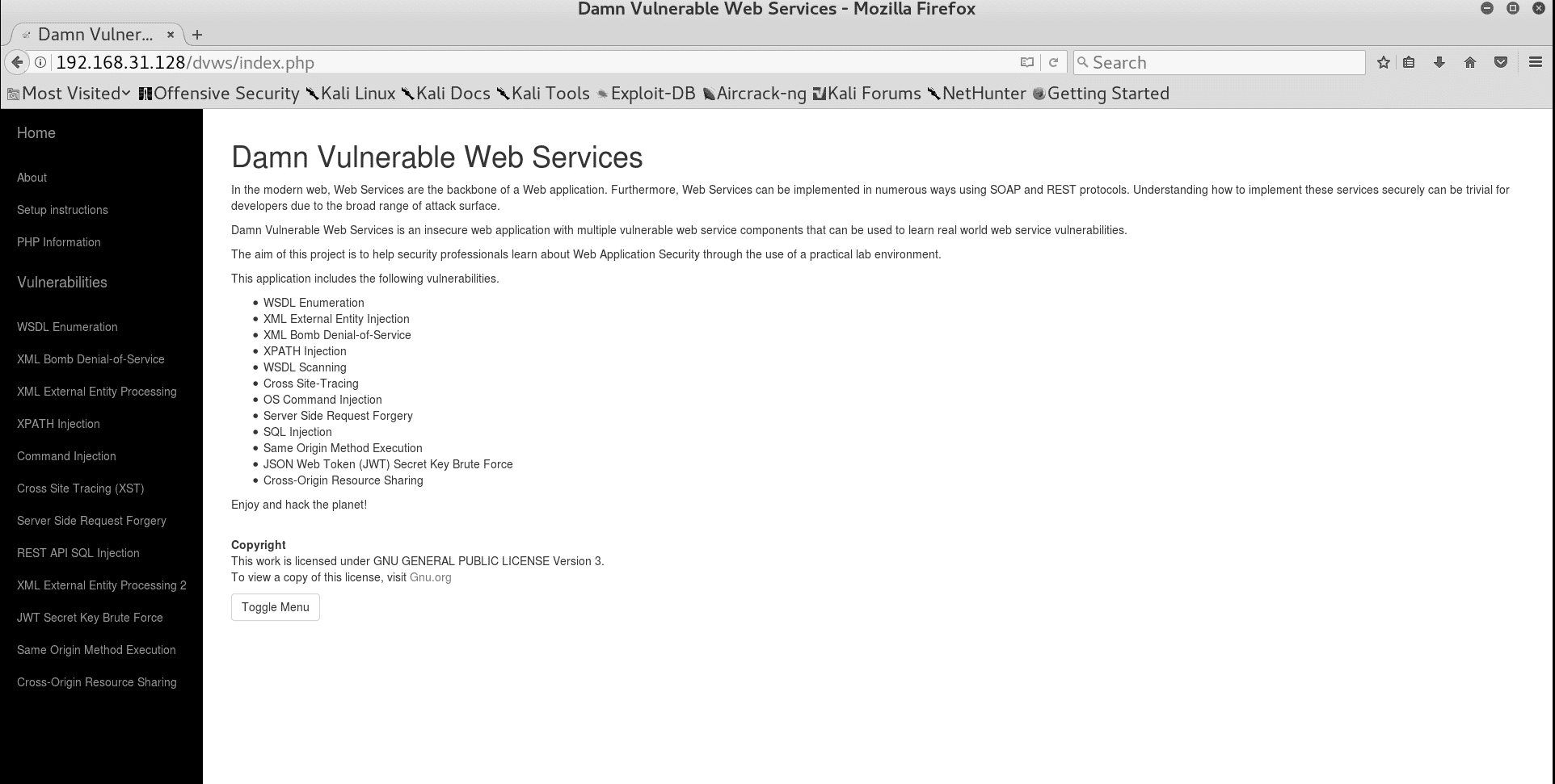 Damn Vulnerable Web Services