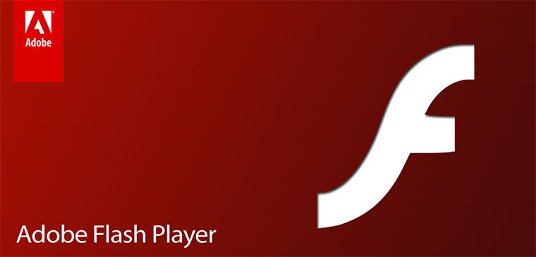 Adobe Flash Player 29.0.0.113