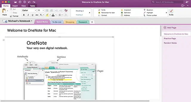 microsoft onenote for mac sections on top