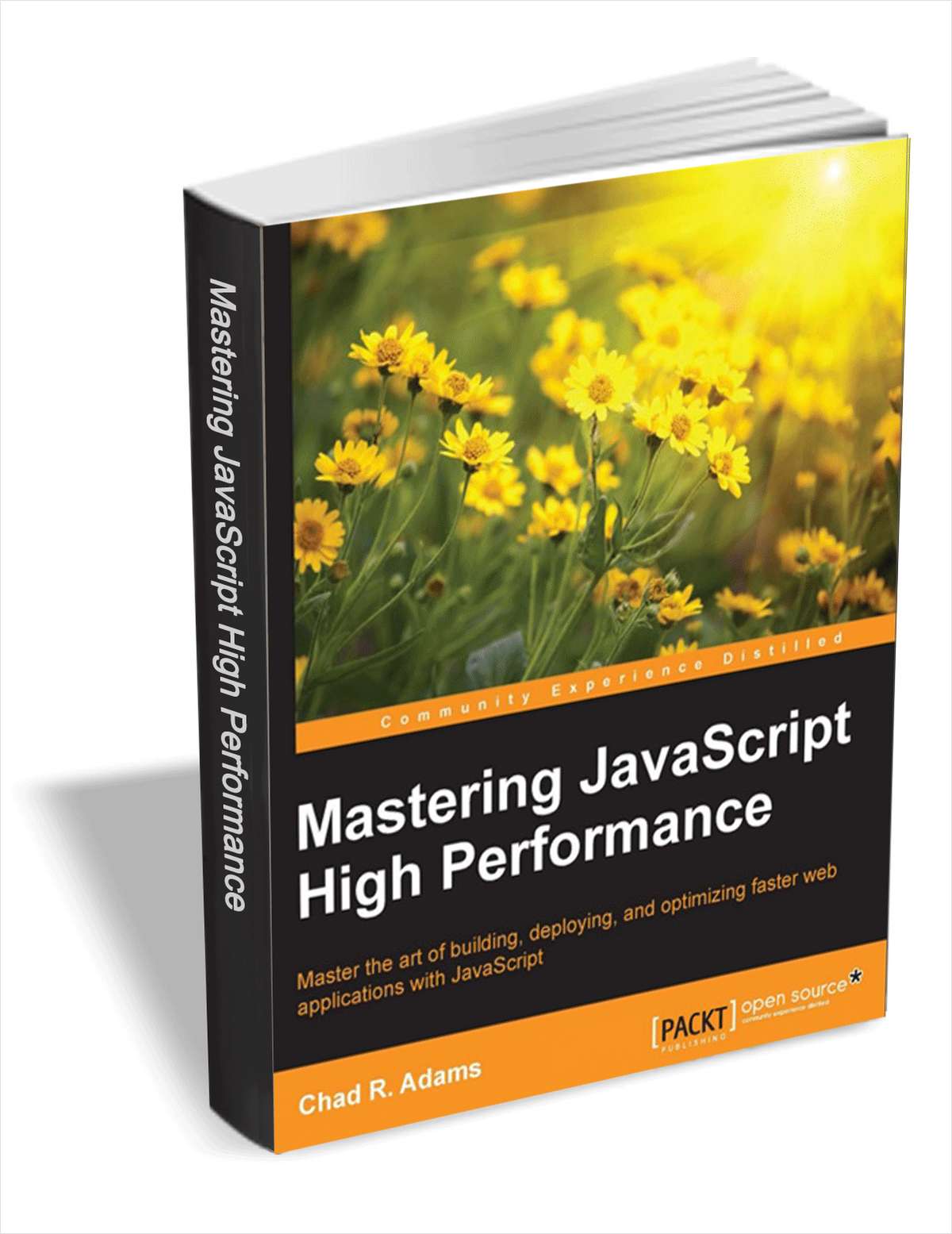Mastering JavaScript High Performance