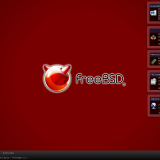 FreeBSD - CVE-2024-43102