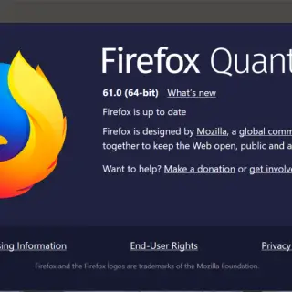 Mozilla Firefox 61
