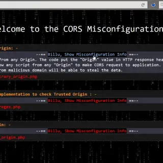 CORS misconfiguration vulnerable