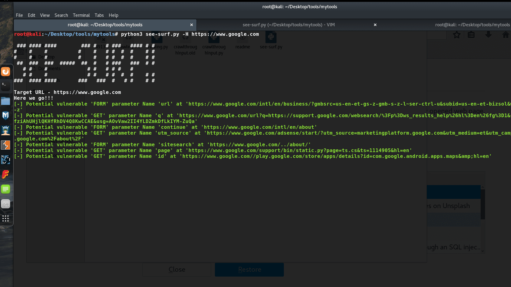 SSRF parameters