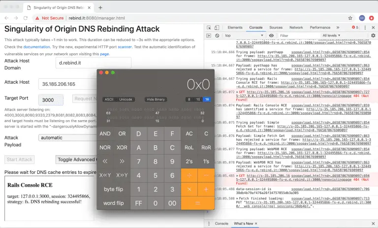 DNS rebinding attack framework