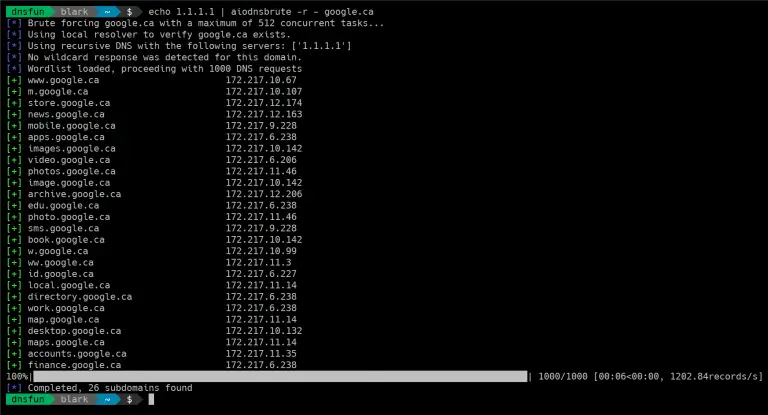 Async DNS Brute