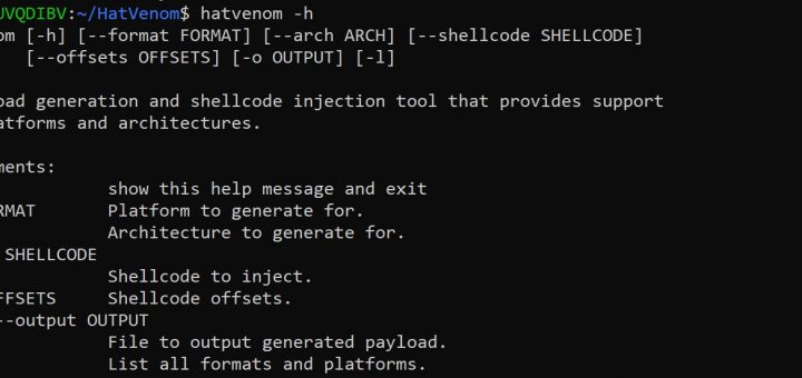 shellcode injection