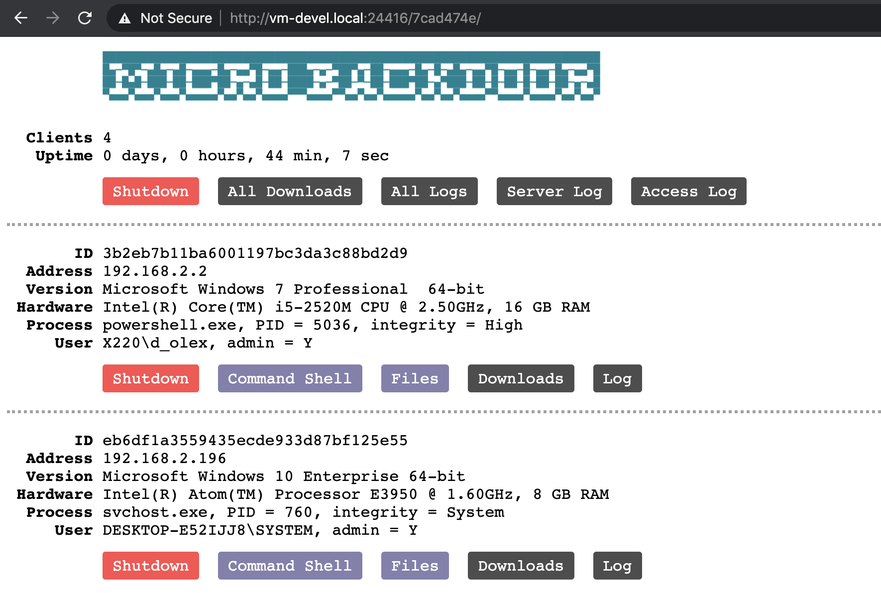 Micro Backdoor