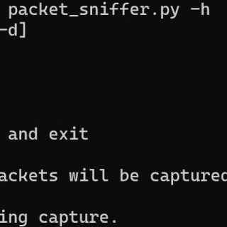 Network Packet Sniffer