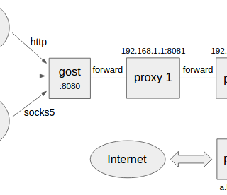 golang tunnel