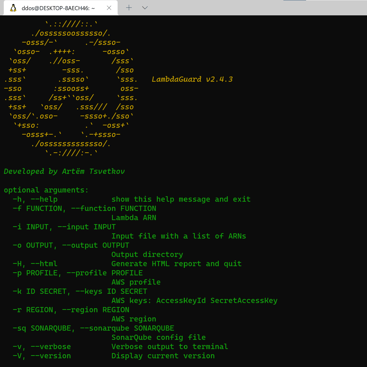 AWS Lambda auditing