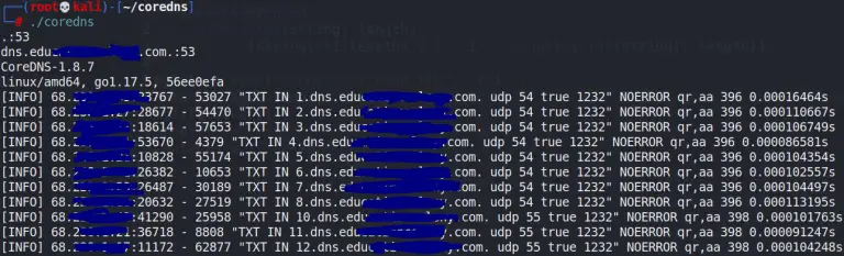 DNS Tunneling