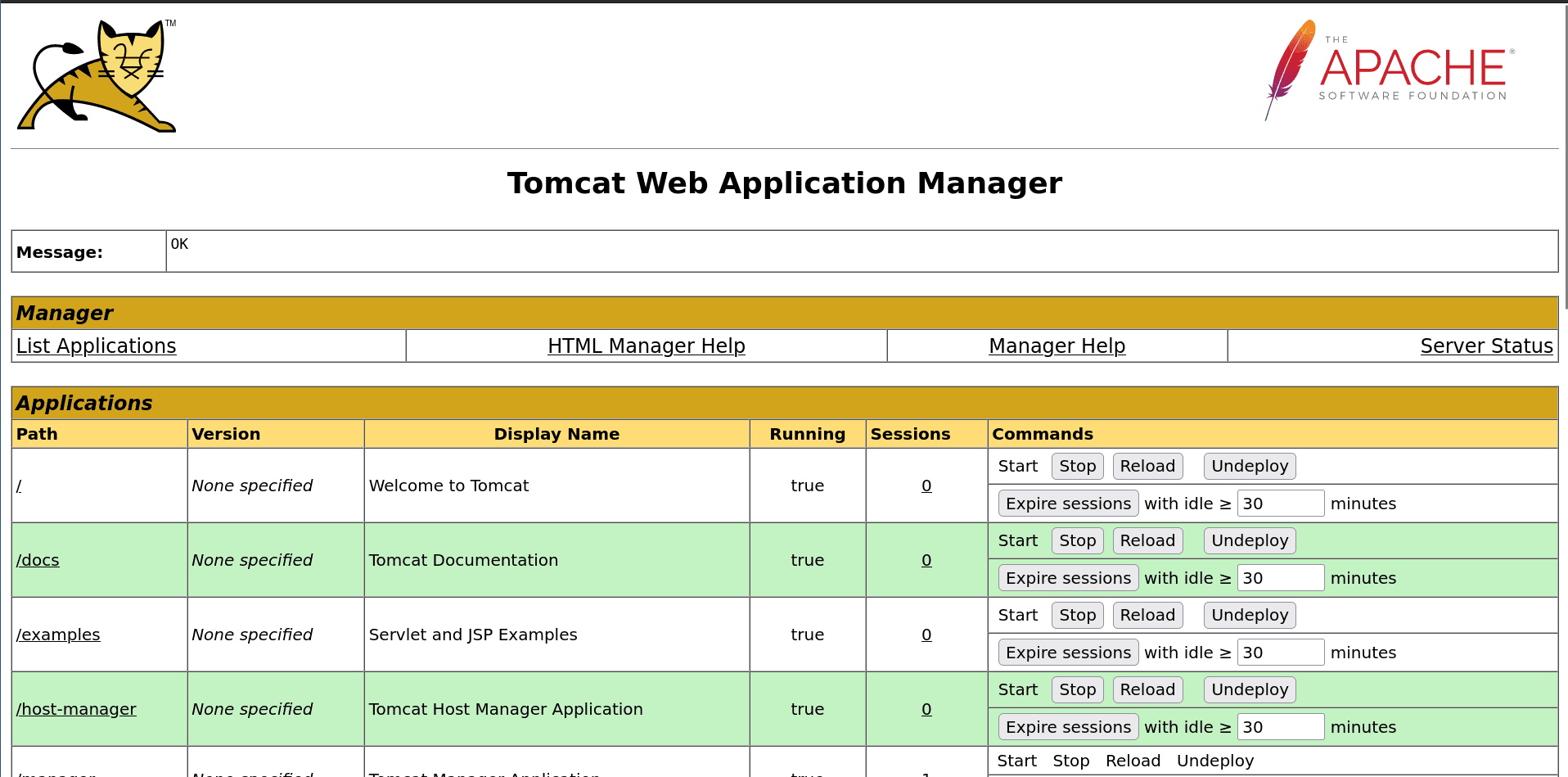 Apache Tomcat webshell