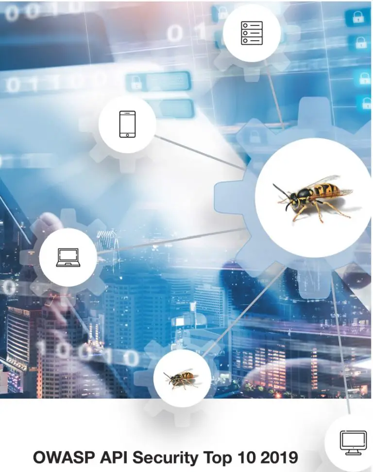 OWASP API top 10