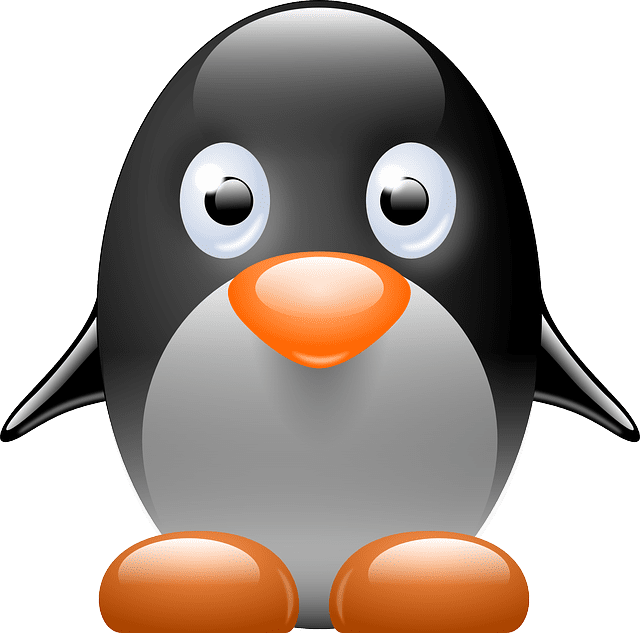 Linux Kernel Remote Code