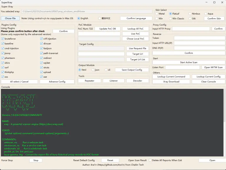 web vulnerability scanning