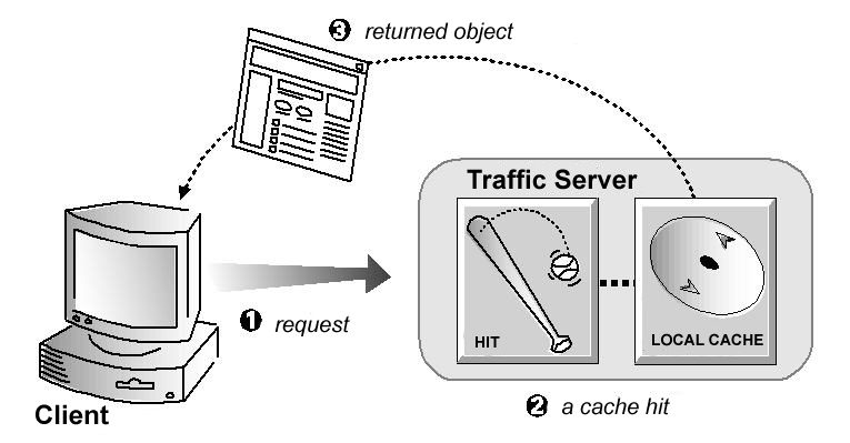 CVE-2023-33934