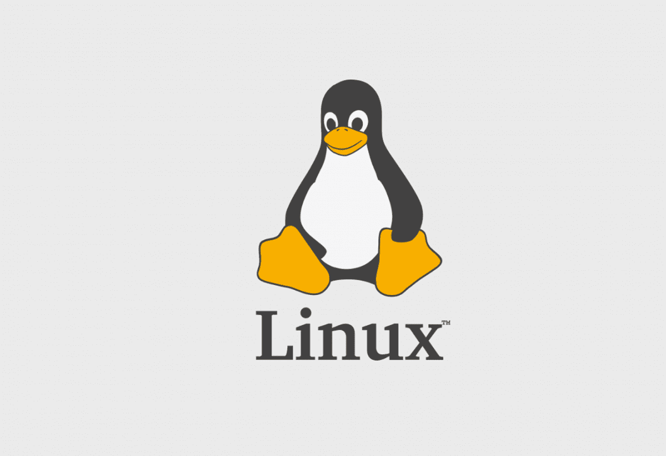 CVE-2023-42753 - Linux Kernel Developers