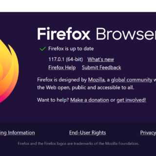 Mozilla vulnerability