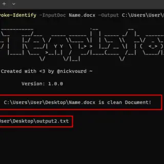 Remote Template Injection attacks