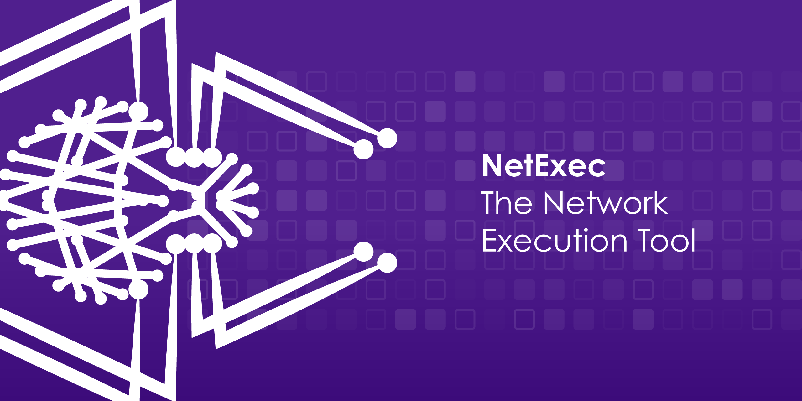 network service exploitation