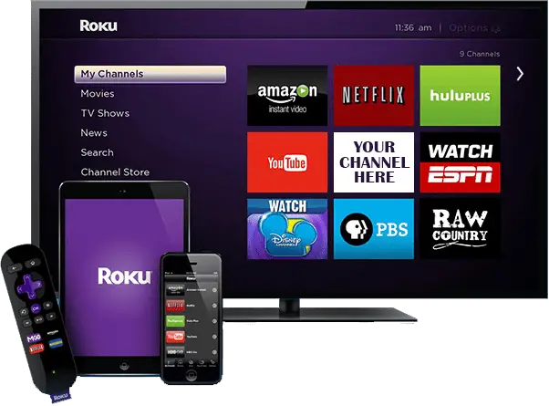 Roku data breach