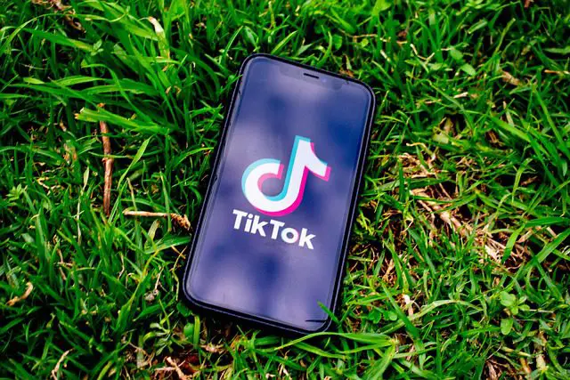 TikTok Zero-Day