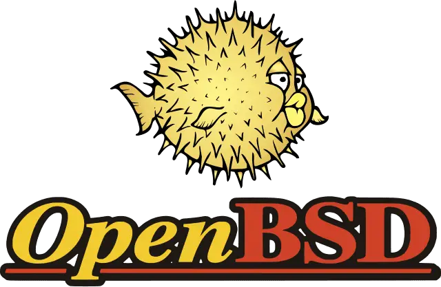 OpenBSD Hardware Acceleration