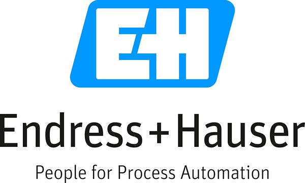 CVE-2024-6596 - Endress+Hauser