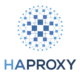 CVE-2024-45506 - HAProxy vulnerability