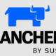 Rancher - CVE-2022-45157