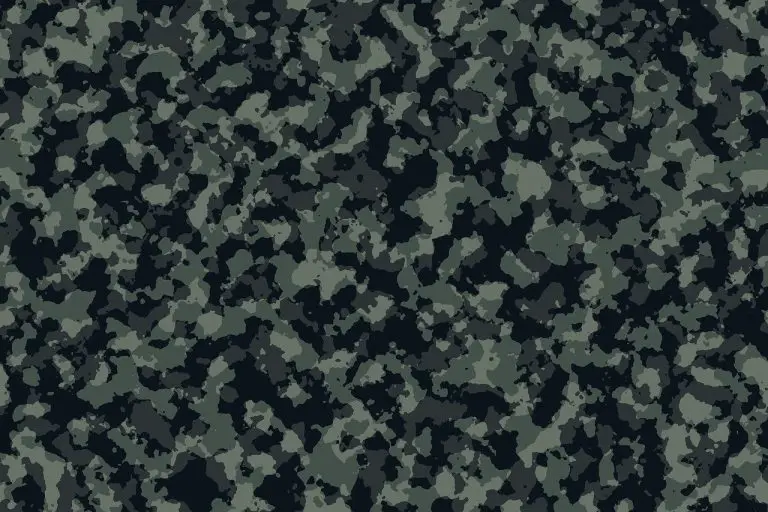 camouflage-1541188_1280