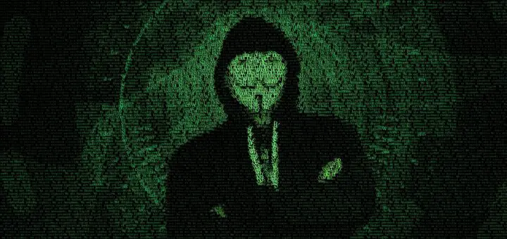 Anonymous, Data Leak