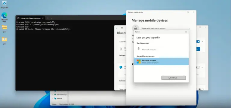 DLL Hijacking, CVE-2025-24076